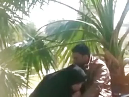 بودجه پرنسس الف به ص ...