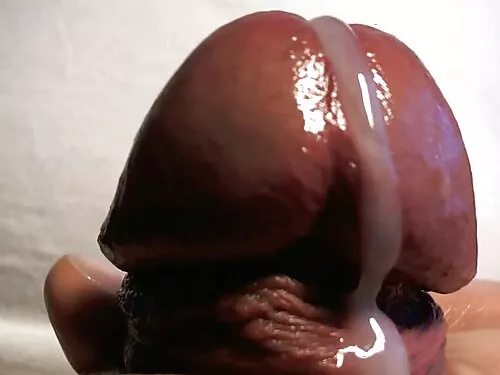 BRAZZERS: Fucking Ne ...