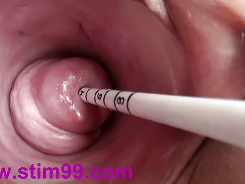 BJRAW: Linzee سرویس  ...