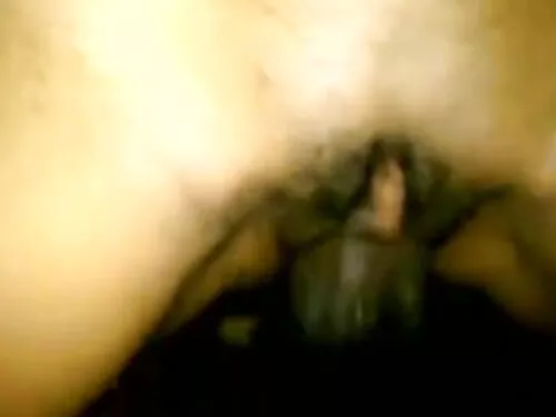 Brazzers: Gloryholes ...