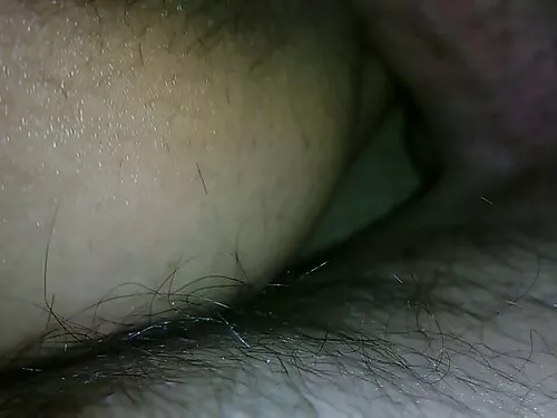 Donut Shenanigan به  ...