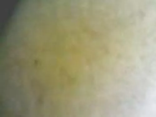 SubSlut زرق و برق دا ...
