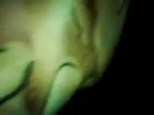 عزیزم کالج سبزه دو ع ...
