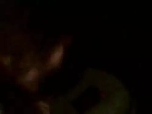رنگ پریده، مکتب خانه ...